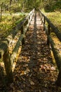 HikerÃ¢â¬â¢s Footbridge over a Mountain Stream Royalty Free Stock Photo